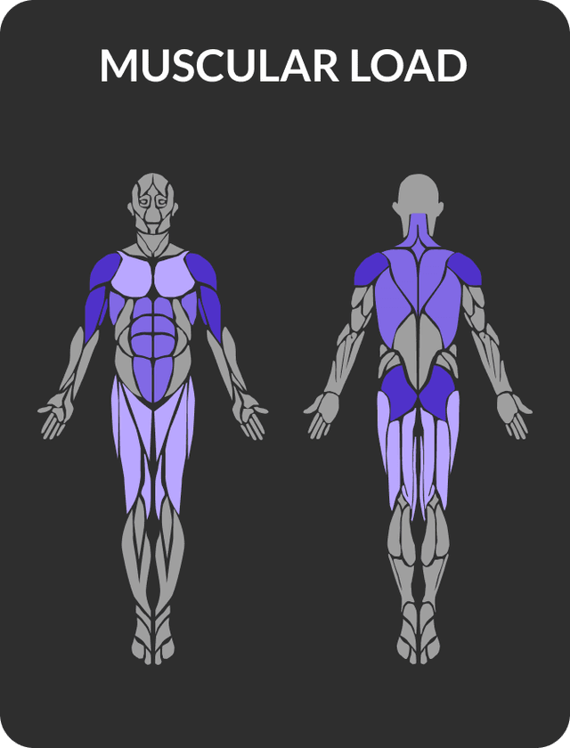 Body map showing the muscular load across all muscle groups